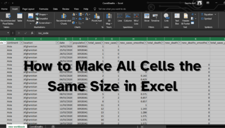 Excel’de Tüm Hücreleri Aynı Boyutta Yapma [4 Easy Steps]